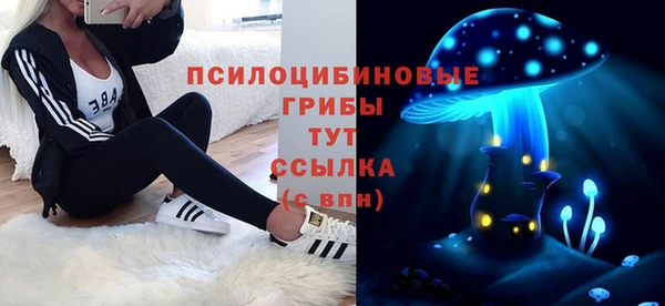стаф Новозыбков