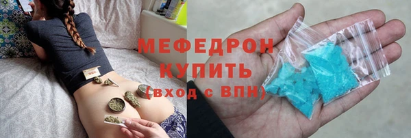 стаф Новозыбков