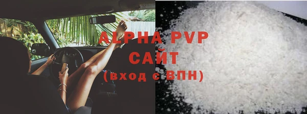 стаф Новозыбков