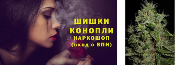 стаф Новозыбков