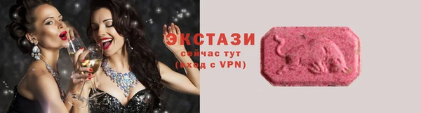 стаф Новозыбков