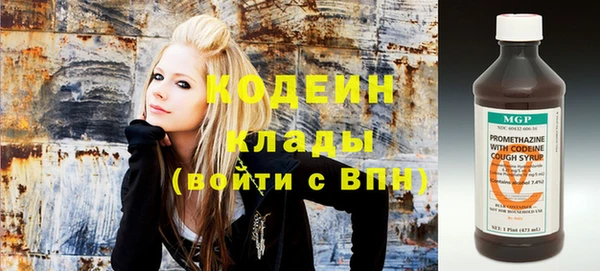 стаф Новозыбков