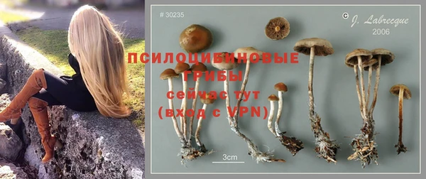 героин Новодвинск