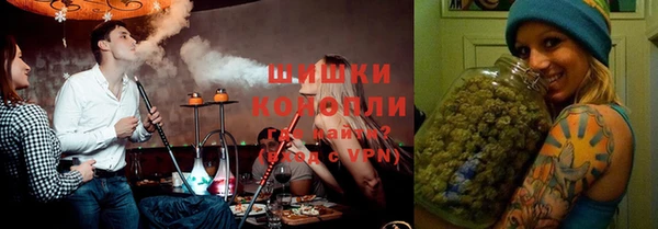 стаф Новозыбков